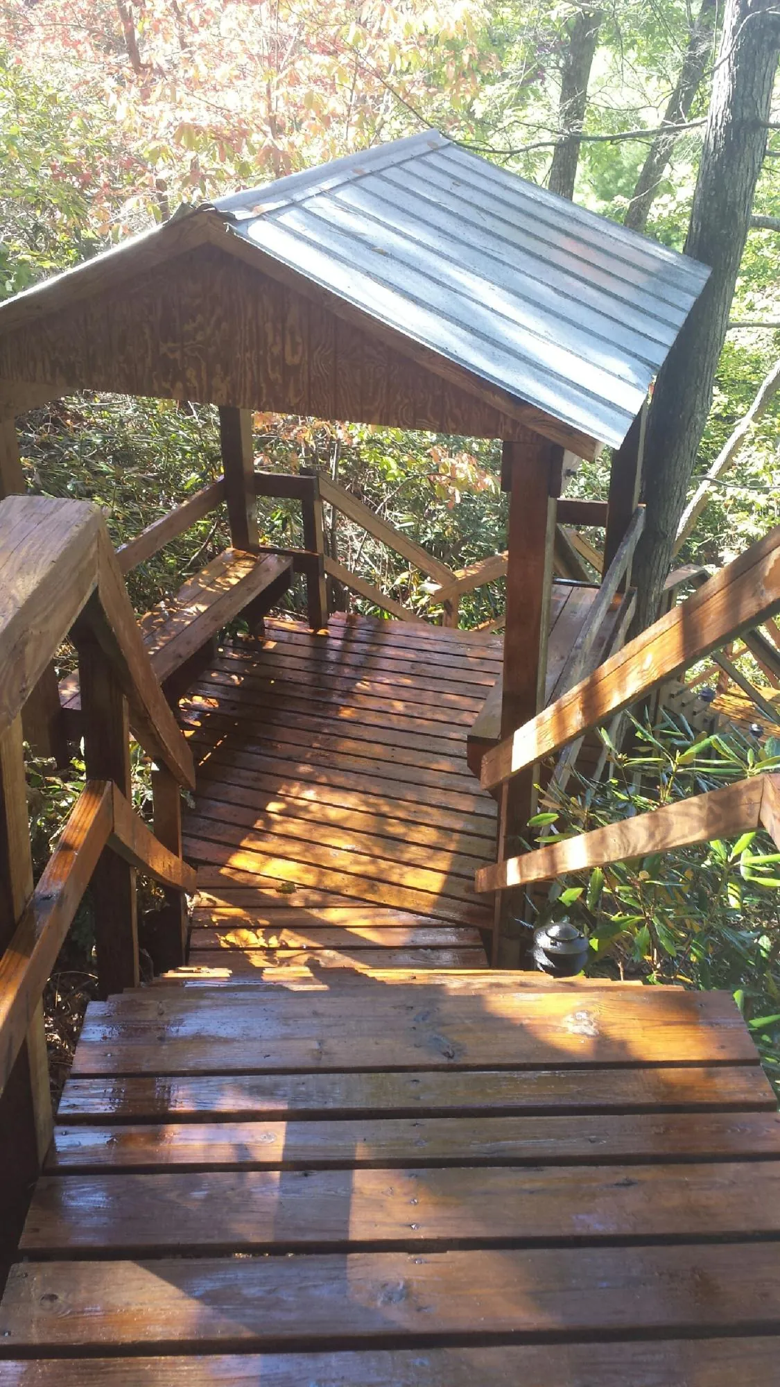 Freshly stained wood walkway and covered shelter with a metal roof in San Jose
